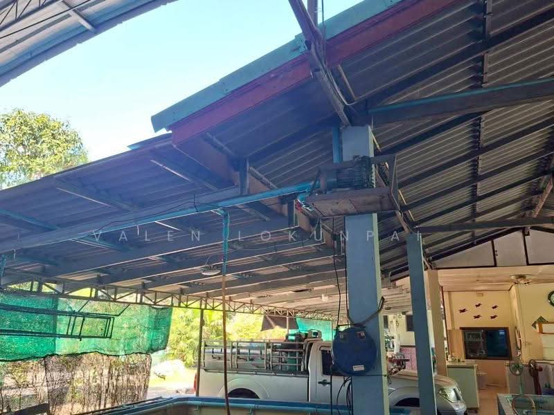 3-BR House, Prachuap Khiri Khan, Ko Lak, Muang Prachaubkirikhan, Prachuap Khiri Khan, 3 Bedrooms, 200 sqm, Single Detached House For Sale, by Valen Lokunpai , 500529099 - DDproperty.com