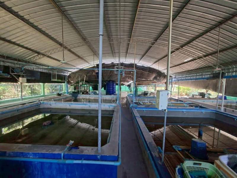 บ้าน 3-ห้องนอน, ประจวบคีรีขันธ์, เกาะหลัก, เมืองประจวบคีรีขันธ์, ประจวบคีรีขันธ์, 200 ตร.ม., บ้านเดี่ยว ขาย, โดย Valen Lokunpai , 500529099 - DDproperty.com