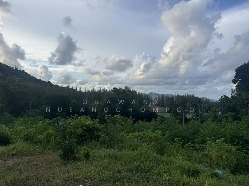 Kohkaew, ภูเก็ต, เกาะแก้ว, เมืองภูเก็ต, ภูเก็ต, 120,000 ตร.ม., ที่ดิน ขาย, โดย Orawan Nueangchompoo, 500529242 - DDproperty.com