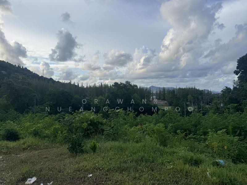 Kohkaew, ภูเก็ต, เกาะแก้ว, เมืองภูเก็ต, ภูเก็ต, 120,000 ตร.ม., ที่ดิน ขาย, โดย Orawan Nueangchompoo, 500529242 - DDproperty.com