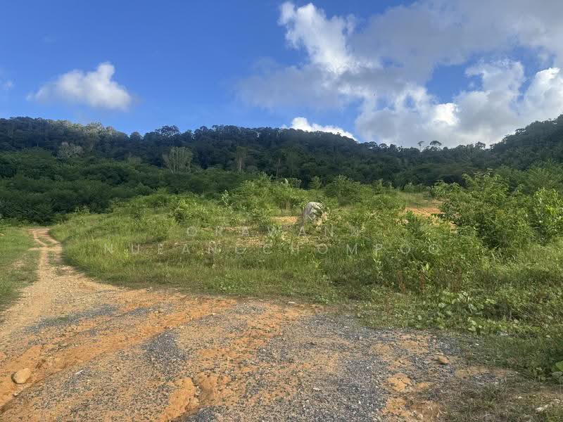 Land for Lease 5 Rai Kohkaew Phuket, Phuket, Ko Kaeo, Muang Phuket, Phuket, , 120,000 sqm, Land For Sale, by Orawan Nueangchompoo, 500529242 - DDproperty.com