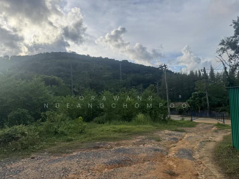 Kohkaew, ภูเก็ต, เกาะแก้ว, เมืองภูเก็ต, ภูเก็ต, 120,000 ตร.ม., ที่ดิน ขาย, โดย Orawan Nueangchompoo, 500529242 - DDproperty.com