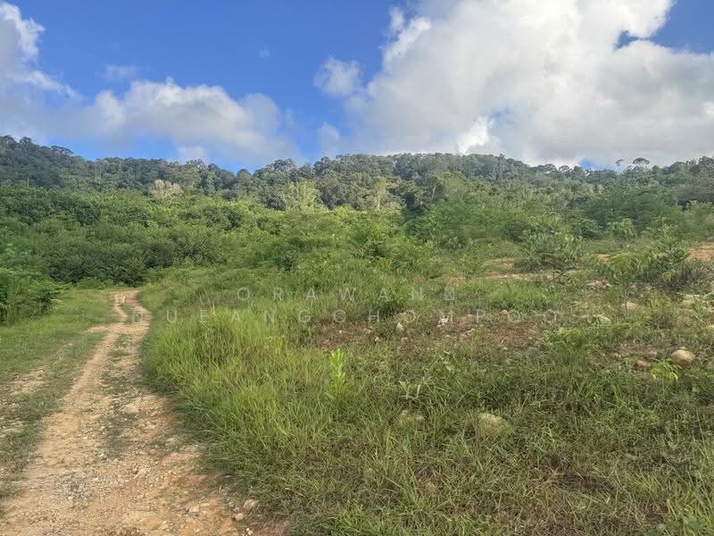 Kohkaew, ภูเก็ต, เกาะแก้ว, เมืองภูเก็ต, ภูเก็ต, 120,000 ตร.ม., ที่ดิน ขาย, โดย Orawan Nueangchompoo, 500529242 - DDproperty.com
