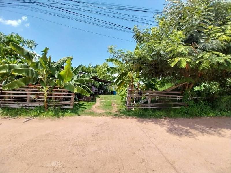 Corner Plot Land, Nong Khon Kwang, Mueang Udon Thani, Udon Thani, ซอยวันธงชัย, Nong Khon Kwang, Muang Udon Thani, Udon Thani, , 1,976 sqm, Land For Sale, by Kulaya Thanapura, 500529271 - DDproperty.com