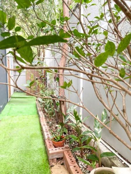 Pleno Suksawat 30 Project 2, Bangkok, Soi Suksawat 30, Bangpakok, Rat Burana, Bangkok, 2 Bedrooms, 93 sqm, Townhouse For Rent, by Vinai Wattana, 500529482 - DDproperty.com