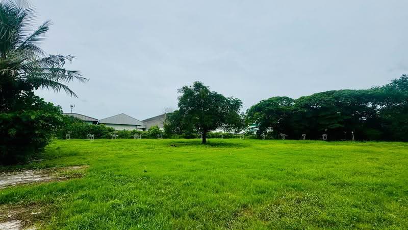 ที่ดินพร้อมอาคารโรงงาน พุทธมณฑลสาย 5, Nakhon Pathom, พุทธมณฑล สาย 5, Krathum Lom, Sam Phran, Nakhon Pathom, , 12,412 sqm, Land For Sale, by ธัญพัฒน์ วิวิธวรรธ์, 500529539 - DDproperty.com