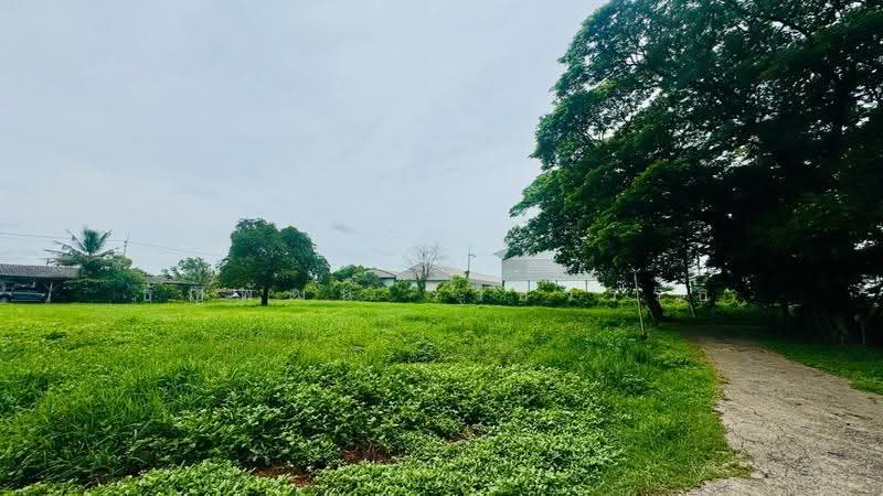 ที่ดินพร้อมอาคารโรงงาน พุทธมณฑลสาย 5, นครปฐม, พุทธมณฑล สาย 5, กระทุ่มล้ม, สามพราน, นครปฐม, 12,412 ตร.ม., ที่ดิน ขาย, โดย ธัญพัฒน์ วิวิธวรรธ์, 500529539 - DDproperty.com