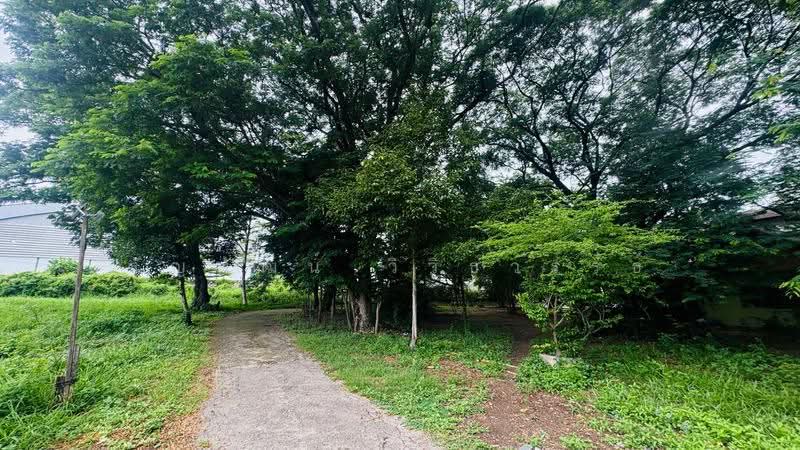 ที่ดินพร้อมอาคารโรงงาน พุทธมณฑลสาย 5, นครปฐม, พุทธมณฑล สาย 5, กระทุ่มล้ม, สามพราน, นครปฐม, 12,412 ตร.ม., ที่ดิน ขาย, โดย ธัญพัฒน์ วิวิธวรรธ์, 500529539 - DDproperty.com