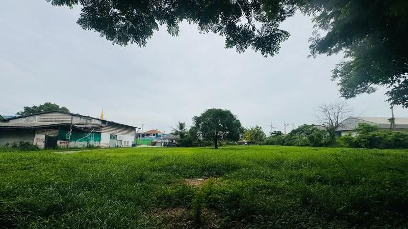 ที่ดินพร้อมอาคารโรงงาน พุทธมณฑลสาย 5, นครปฐม, พุทธมณฑล สาย 5, กระทุ่มล้ม, สามพราน, นครปฐม, 12,412 ตร.ม., ที่ดิน ขาย, โดย ธัญพัฒน์ วิวิธวรรธ์, 500529539 - DDproperty.com