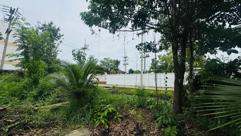 ที่ดินพร้อมอาคารโรงงาน พุทธมณฑลสาย 5, Nakhon Pathom, พุทธมณฑล สาย 5, Krathum Lom, Sam Phran, Nakhon Pathom, , 12,412 sqm, Land For Sale, by ธัญพัฒน์ วิวิธวรรธ์, 500529539 - DDproperty.com