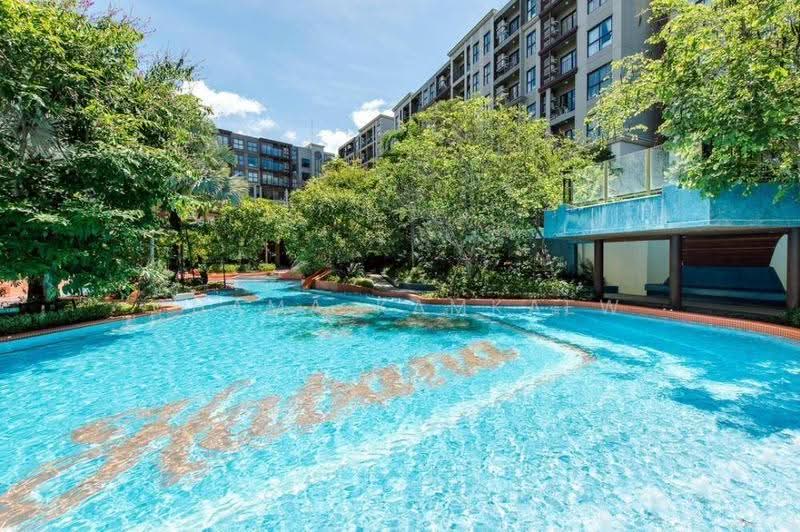 La Habana Hua Hin, Prachuap Khiri Khan, Soi Hua Hin 23, Nong Kae, Hua Hin, Prachuap Khiri Khan, Studio, 27 sqm, Condo For Sale, by Chama Kamkaew, 500529576 - DDproperty.com
