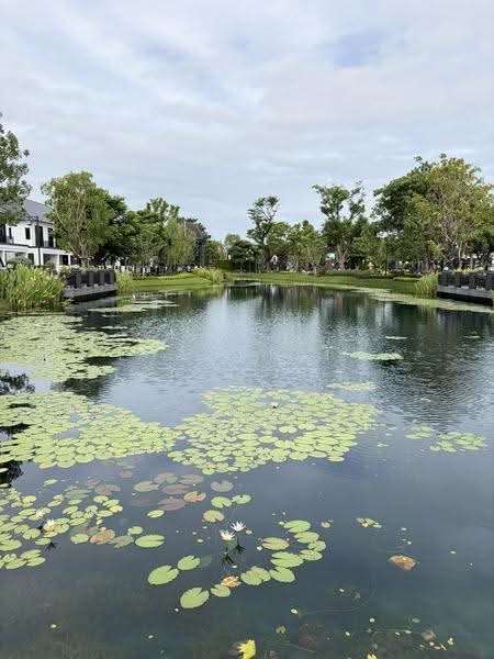undefined, Bangkok, O-Ngoen, Sai Mai, Bangkok, 5 Bedrooms, 400 sqm, Single Detached House For Sale, by Thananith Ittitulyapong, 500529778 - DDproperty.com