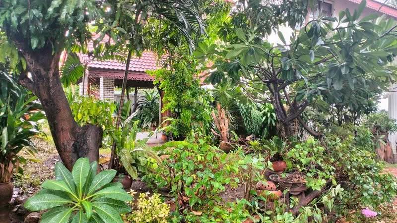 ม.เลิศอุบล, Bangkok, Tha Rang, Bang Khen, Bangkok, 4 Bedrooms, 525 sqm, Single Detached House For Sale, by พิมพ์พิชชา สายชลประสิทธิ์, 500529830 - DDproperty.com