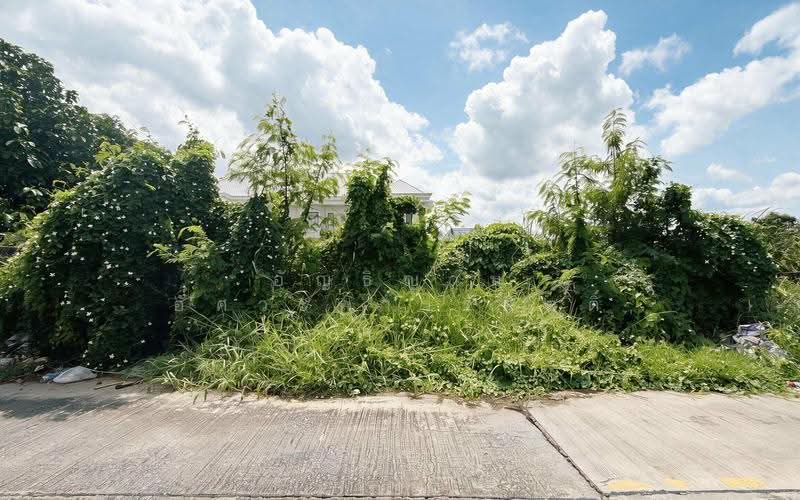 ที่ดินลำลูกกา 43 ซอยกิตติรัตน์, Pathum Thani, Lat Sawai, Lam Luk Ka, Pathum Thani, , 400 sqm, Land For Sale, by อัญธิญาน์ อัศวะถาวรกิตติ์, 500529941 - DDproperty.com