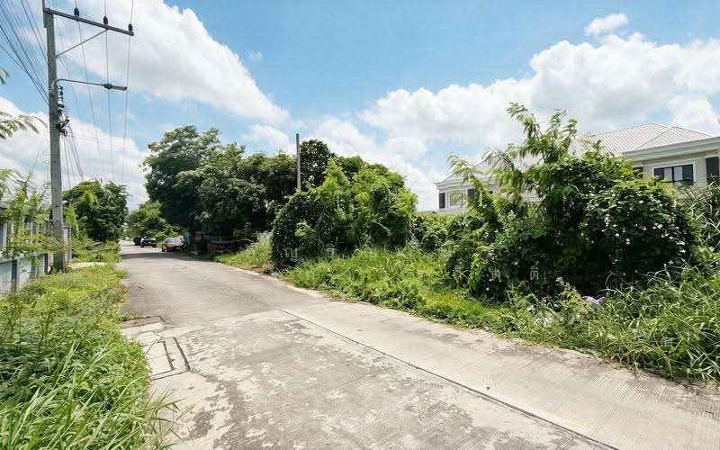 ที่ดินลำลูกกา 43 ซอยกิตติรัตน์, Pathum Thani, Lat Sawai, Lam Luk Ka, Pathum Thani, , 400 sqm, Land For Sale, by อัญธิญาน์ อัศวะถาวรกิตติ์, 500529941 - DDproperty.com