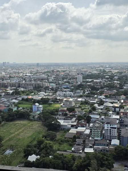 The Line Sukhumvit 101 : เดอะ ไลน์ สุขุมวิท 101, กรุงเทพ, 3009 สุขุมวิท 101, บางจาก, พระโขนง, กรุงเทพ, 28 ตร.ม., คอนโด ให้เช่า, โดย Walapa Jidbumrungsakun, 500530210 - DDproperty.com