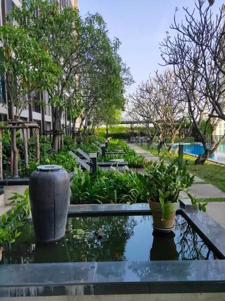 IDEO Ladprao 5 : ไอดีโอ ลาดพร้าว 5, กรุงเทพ, ถนนลาดพร้าว, จอมพล, จตุจักร, กรุงเทพ, 33 ตร.ม., คอนโด ขาย, โดย Walapa Jidbumrungsakun, 500530264 - DDproperty.com