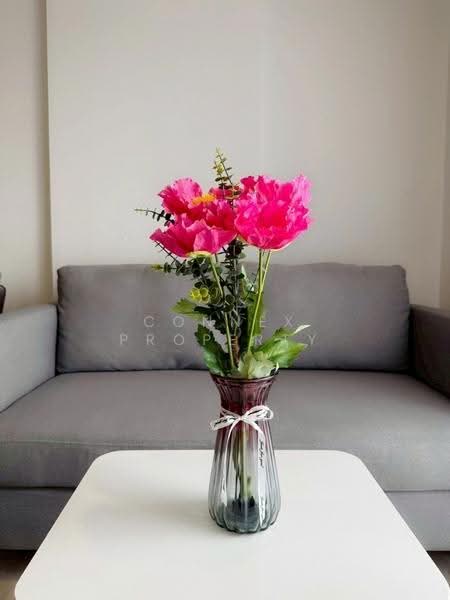 Noble Nue Cross Khu Khot, Pathum Thani, Khu Khot, Lam Luk Ka, Pathum Thani, 1 Bedroom, 31 sqm, Condo For Rent, by Connex Property, 500530278 - DDproperty.com