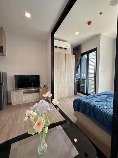 Modiz Sukhumvit 50, Bangkok, Soi Sukhumvit 50, Phra Kanong, Khlong Toei, Bangkok, 1 Bedroom, 26 sqm, Condo For Rent, by จิตราภรณ์ พิมพ์จันทร์, 500530364 - DDproperty.com