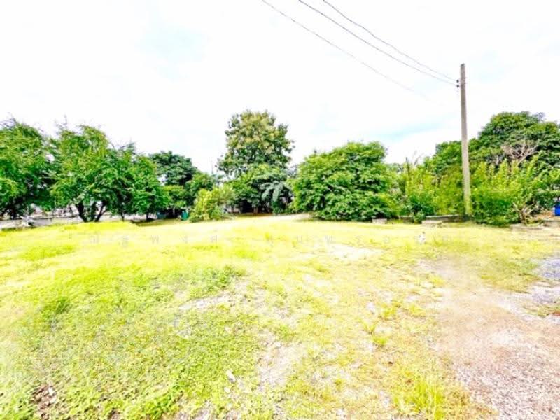 ไม่พบโครงการ, Pathum Thani, ลำลูกกา คลอง 7, Lam Luk Ka, Pathum Thani, 4 Bedrooms, 1,001 sqm, Single Detached House For Rent, by ณัฐพงศ์ สุนทรอรุณ, 500530484 - DDproperty.com
