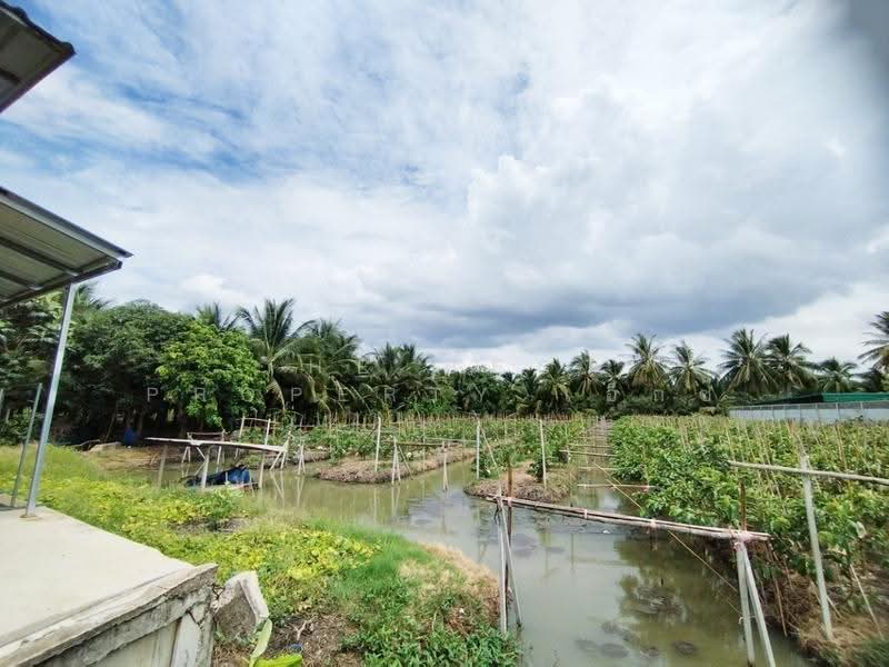 ที่ดินบ้านแพ้ว สมุทรสาคร, Samut Sakhon, Kaset Pattana, Ban Phaeo, Samut Sakhon, , 1,380 sqm, Land For Sale, by The Best Property เอ็กซ์, 500530532 - DDproperty.com