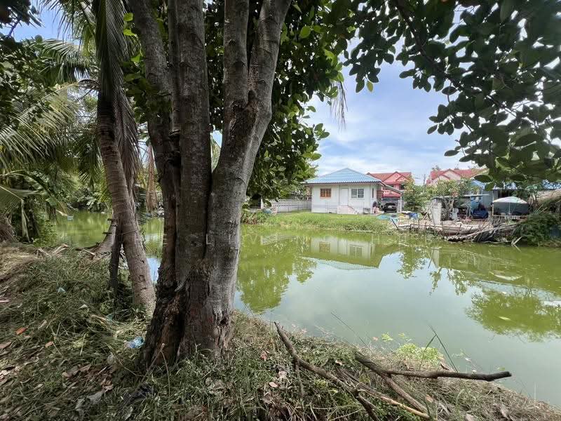 บ้านสวนแสนสุข คลอง 29, Nakhon Nayok, รังสิต-นครนายก (ทล.305), Bang Pla Kot, Ongkharak, Nakhon Nayok, 3 Bedrooms, 85 sqm, Single Detached House For Sale, by THE LIVING HUB, 500530556 - DDproperty.com