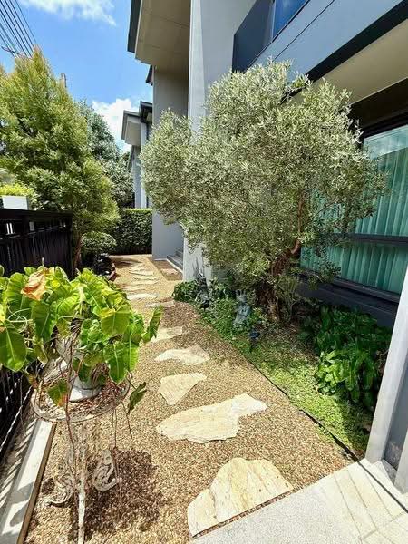 Setthasiri-Krungthep Kreetha 2, Bangkok, Krungthep Kreetha Road, Hua Mak, Bang Kapi, Bangkok, 4 Bedrooms, 280 sqm, Single Detached House For Rent, by การุณ ชมภูบุตร, 500530578 - DDproperty.com