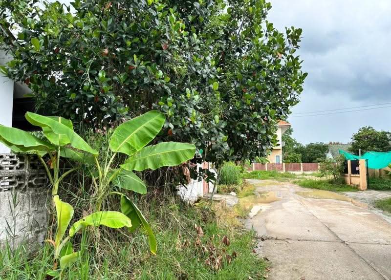 เคเอสวิลล์ปาร์ค (KS Ville Park), Chiang Mai, San Pu Loei, Doi Saket, Chiang Mai, 3 Bedrooms, 100 sqm, Single Detached House For Sale, by The Best Property ยุ้ย, 500530589 - DDproperty.com