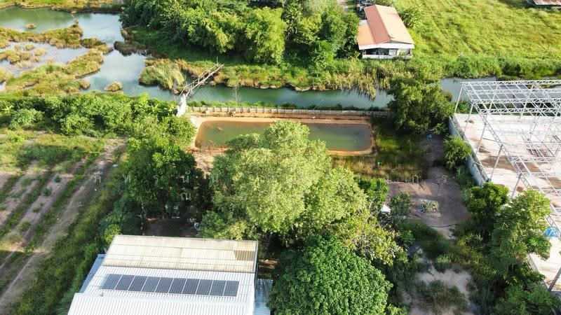ที่ดิน โครงการคันทรีการ์เด้น ถนนเลียบคลองสาม-ปทุมธานี ซอย7, ปทุมธานี, คลองสาม, คลองหลวง, ปทุมธานี, 3,240 ตร.ม., ที่ดิน ขาย, โดย ภัทรนัน อิศรางกูร ณ อยุธยา, 500530594 - DDproperty.com