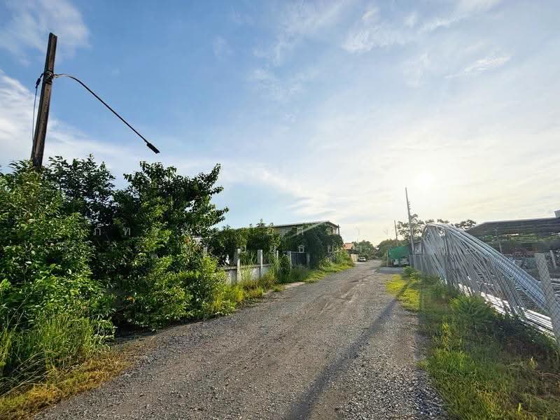 ที่ดิน โครงการคันทรีการ์เด้น ถนนเลียบคลองสาม-ปทุมธานี ซอย7, Pathum Thani, Khlong Sam, Khlong Luang, Pathum Thani, , 3,240 sqm, Land For Sale, by ภัทรนัน อิศรางกูร ณ อยุธยา, 500530594 - DDproperty.com