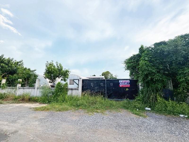 ที่ดิน โครงการคันทรีการ์เด้น ถนนเลียบคลองสาม-ปทุมธานี ซอย7, Pathum Thani, Khlong Sam, Khlong Luang, Pathum Thani, , 3,240 sqm, Land For Sale, by ภัทรนัน อิศรางกูร ณ อยุธยา, 500530594 - DDproperty.com