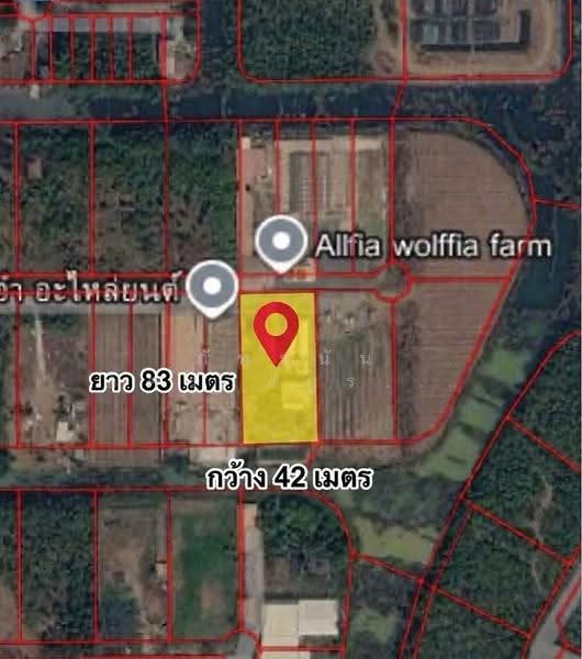 ที่ดิน โครงการคันทรีการ์เด้น ถนนเลียบคลองสาม-ปทุมธานี ซอย7, Pathum Thani, Khlong Sam, Khlong Luang, Pathum Thani, , 3,240 sqm, Land For Sale, by ภัทรนัน อิศรางกูร ณ อยุธยา, 500530594 - DDproperty.com