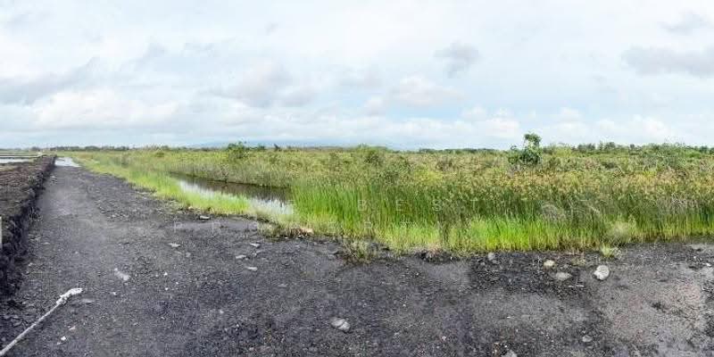 ที่ดินบางกะจะ จันทบุรี, Chanthaburi, Bang Kacha, Muang Chanthaburi, Chanthaburi, , 50,220 sqm, Land For Sale, by The Best Property วิ, 500530644 - DDproperty.com