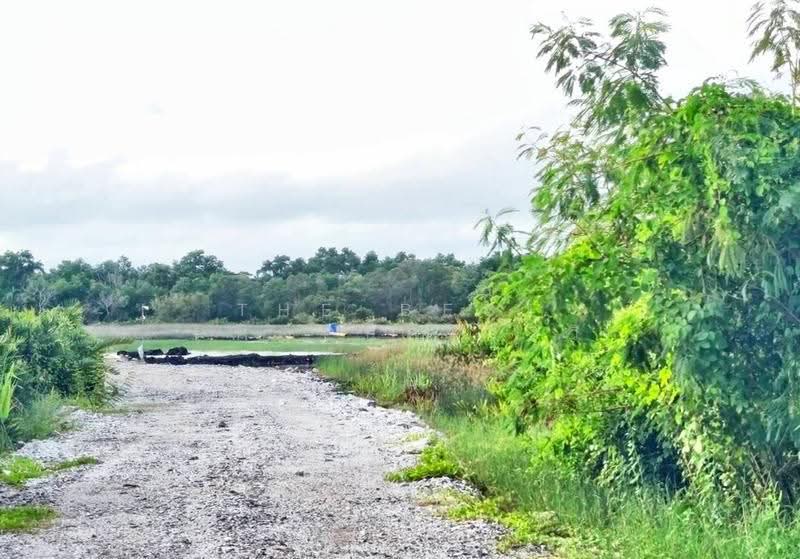 ที่ดินบางกะจะ จันทบุรี, จันทบุรี, บางกะจะ, เมืองจันทบุรี, จันทบุรี, 50,220 ตร.ม., ที่ดิน ขาย, โดย The Best Property วิ, 500530644 - DDproperty.com