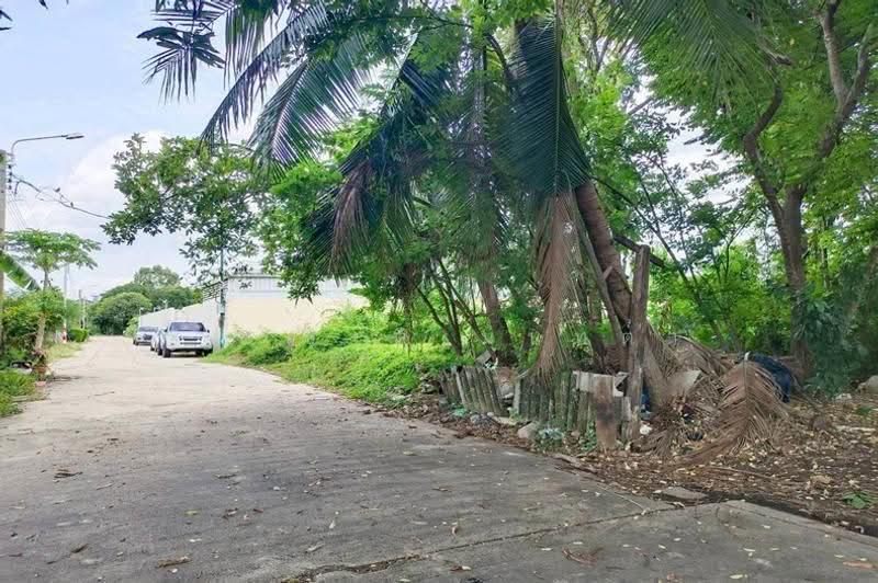ที่ดินเปล่า เนื้อที่ 100 ตร.ว. ซอยติวานนท์-ปากเกร็ด 27, Nonthaburi, Bang Phut, Pak Kret, Nonthaburi, , 400 sqm, Land For Sale, by ชนะชาติ นนท์ตา, 500530681 - DDproperty.com