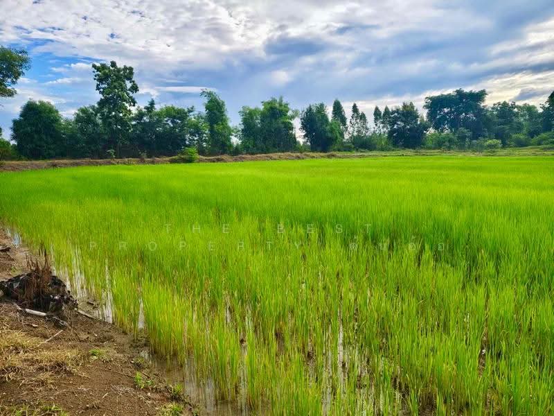 ที่ดินท่าตะโก นครสวรรค์, นครสวรรค์, สายลำโพง, ท่าตะโก, นครสวรรค์, 16,000 ตร.ม., ที่ดิน ขาย, โดย The Best Property ต้นอ้อ, 500530694 - DDproperty.com
