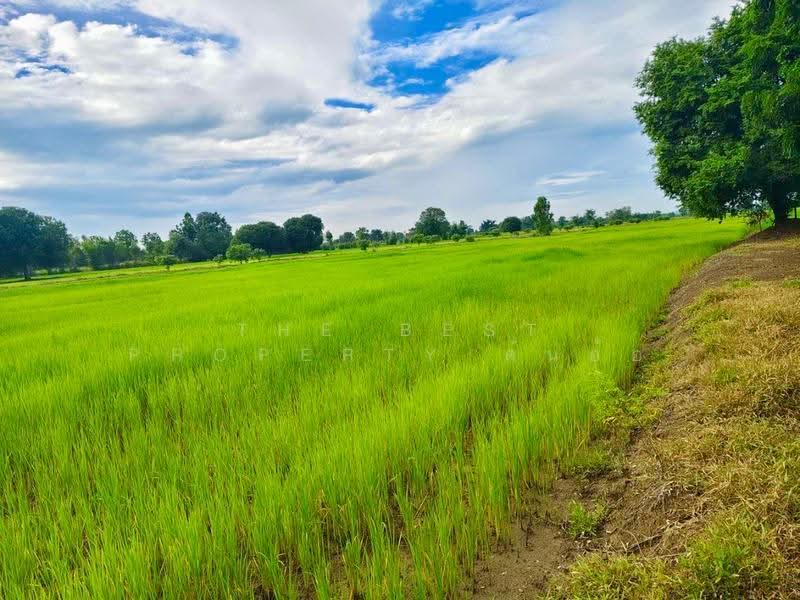 ที่ดินท่าตะโก นครสวรรค์, นครสวรรค์, สายลำโพง, ท่าตะโก, นครสวรรค์, 16,000 ตร.ม., ที่ดิน ขาย, โดย The Best Property ต้นอ้อ, 500530694 - DDproperty.com