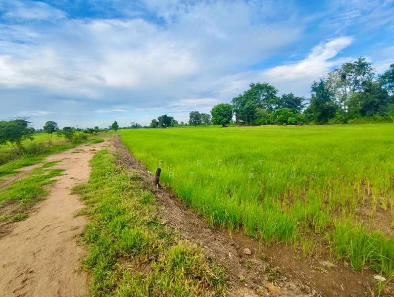 ที่ดินท่าตะโก นครสวรรค์, นครสวรรค์, สายลำโพง, ท่าตะโก, นครสวรรค์, 16,000 ตร.ม., ที่ดิน ขาย, โดย The Best Property ต้นอ้อ, 500530694 - DDproperty.com