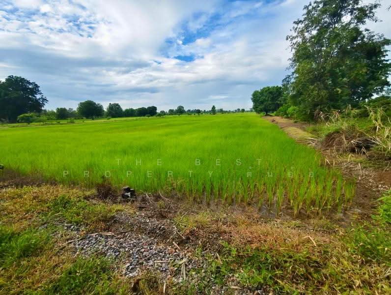 ที่ดินท่าตะโก นครสวรรค์, นครสวรรค์, สายลำโพง, ท่าตะโก, นครสวรรค์, 16,000 ตร.ม., ที่ดิน ขาย, โดย The Best Property ต้นอ้อ, 500530694 - DDproperty.com