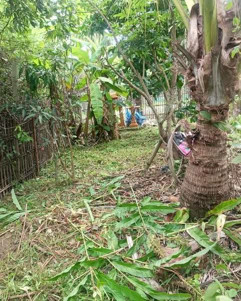 ที่ดินพร้อมสิ่งปลูกสร้างสันป่าตอง เชียงใหม่, เชียงใหม่, แม่ก๊า, สันป่าตอง, เชียงใหม่, 388 ตร.ม., ที่ดิน ขาย, โดย The Best Property อร, 500530699 - DDproperty.com