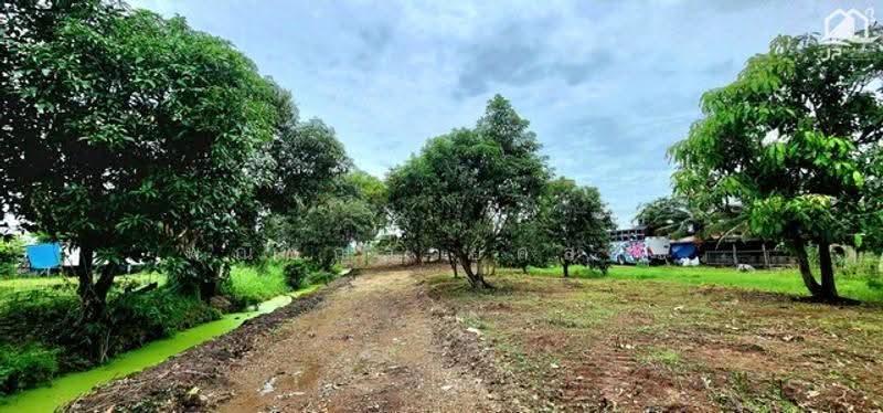 ไม่พบโครงการ, ปทุมธานี, , ลำลูกกา, ปทุมธานี, 3,984 ตร.ม., ที่ดิน ขาย, โดย พณิชญา ยศสละ, 500530749 - DDproperty.com