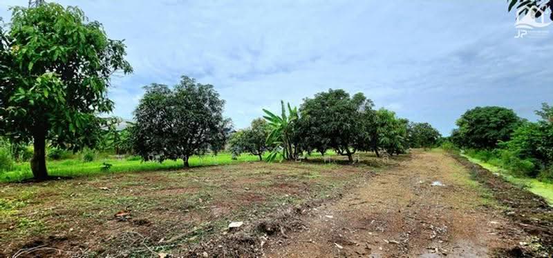 ไม่พบโครงการ, ปทุมธานี, , ลำลูกกา, ปทุมธานี, 3,984 ตร.ม., ที่ดิน ขาย, โดย พณิชญา ยศสละ, 500530749 - DDproperty.com