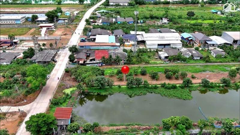 ไม่พบโครงการ, ปทุมธานี, , ลำลูกกา, ปทุมธานี, 3,984 ตร.ม., ที่ดิน ขาย, โดย พณิชญา ยศสละ, 500530749 - DDproperty.com