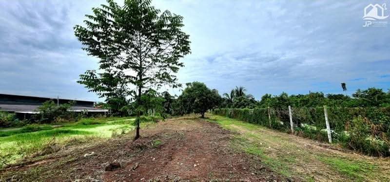 ไม่พบโครงการ, Pathum Thani, , Lam Luk Ka, Pathum Thani, , 3,984 sqm, Land For Sale, by Phanitchaya Yossala, 500530749 - DDproperty.com