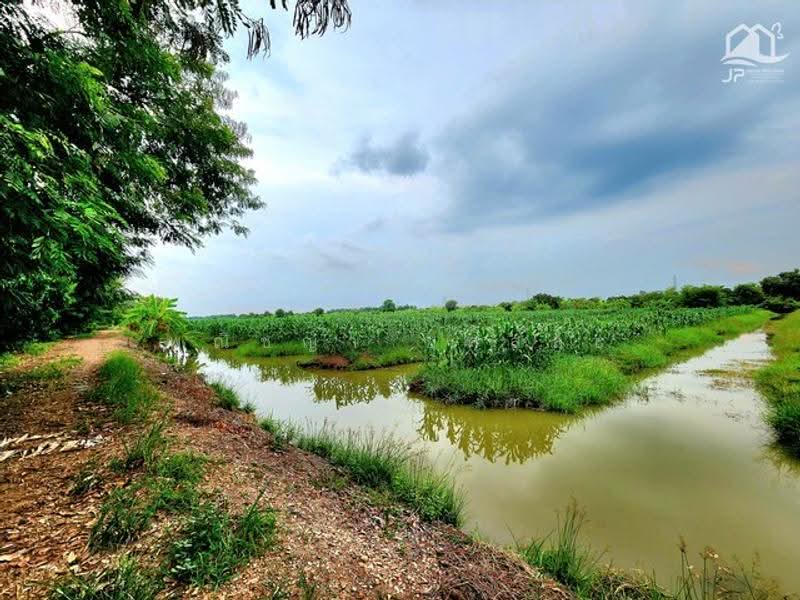 ไม่พบโครงการ, Pathum Thani, , Bung Ka Sam, Nong Sua, Pathum Thani, , 142,476 sqm, Land For Sale, by Phanitchaya Yossala, 500530754 - DDproperty.com
