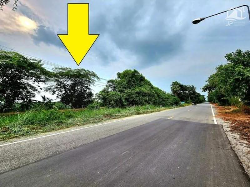 ไม่พบโครงการ, Pathum Thani, , Bung Ka Sam, Nong Sua, Pathum Thani, , 142,476 sqm, Land For Sale, by Phanitchaya Yossala, 500530754 - DDproperty.com