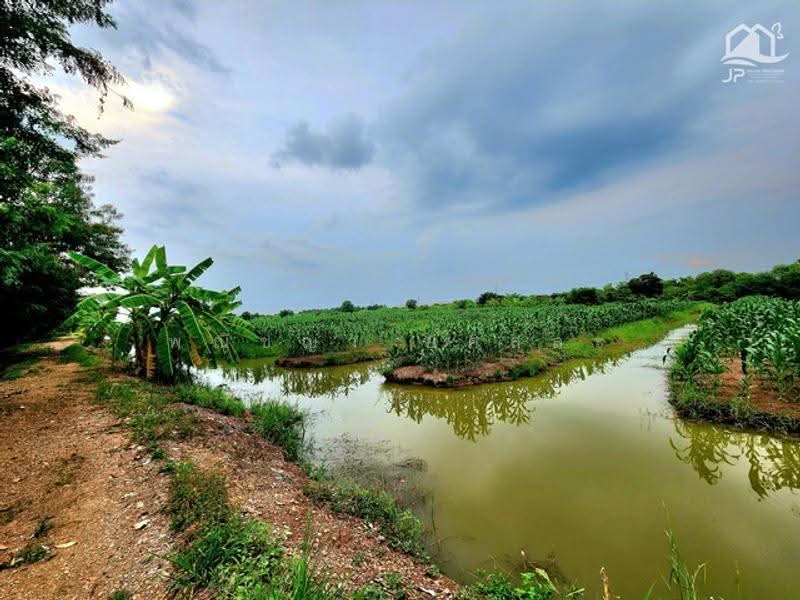 ไม่พบโครงการ, Pathum Thani, , Bung Ka Sam, Nong Sua, Pathum Thani, , 142,476 sqm, Land For Sale, by Phanitchaya Yossala, 500530754 - DDproperty.com