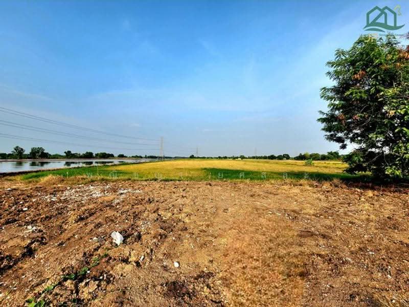 ไม่พบโครงการ, Pathum Thani, , Noparat, Nong Sua, Pathum Thani, , 32,000 sqm, Land For Sale, by Phanitchaya Yossala, 500530759 - DDproperty.com
