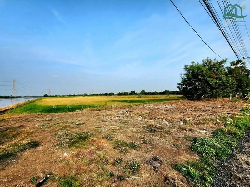 ไม่พบโครงการ, Pathum Thani, , Noparat, Nong Sua, Pathum Thani, , 32,000 sqm, Land For Sale, by Phanitchaya Yossala, 500530759 - DDproperty.com