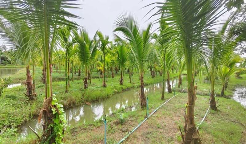 ใกล้ศูนย์วิจัยและพัฒนาการเกษตรปทุมธานี, Nakhon Pathom, Huai Mon Thong, Kamphaeng Saen, Nakhon Pathom, , 13,378 sqm, Land For Sale, by ชนะชาติ นนท์ตา, 500530761 - DDproperty.com